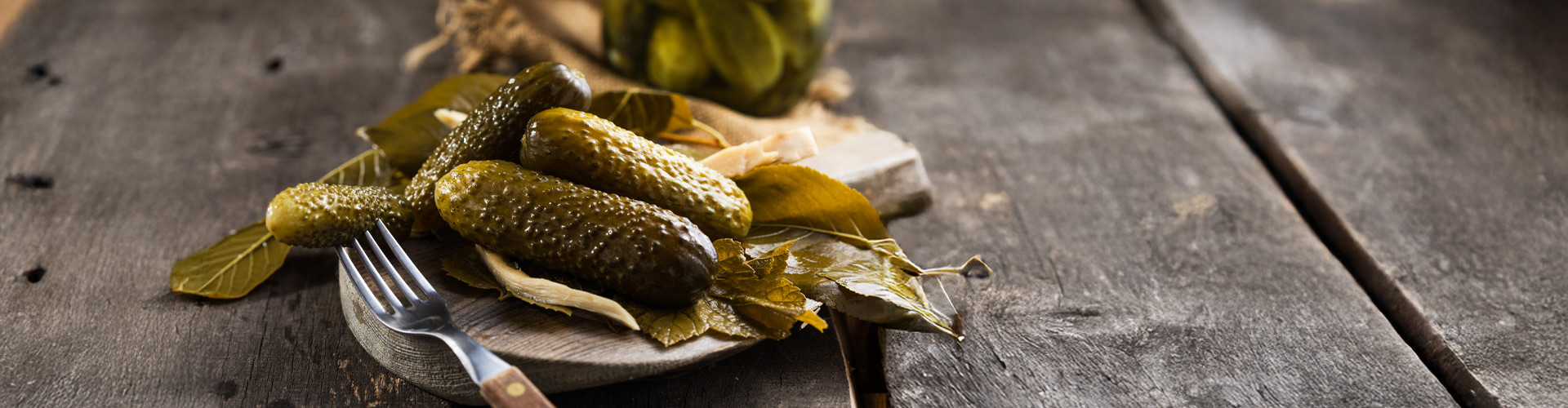 Gherkins-in-Acetic-Acid