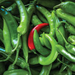 Green Chillies