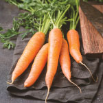 Carrots