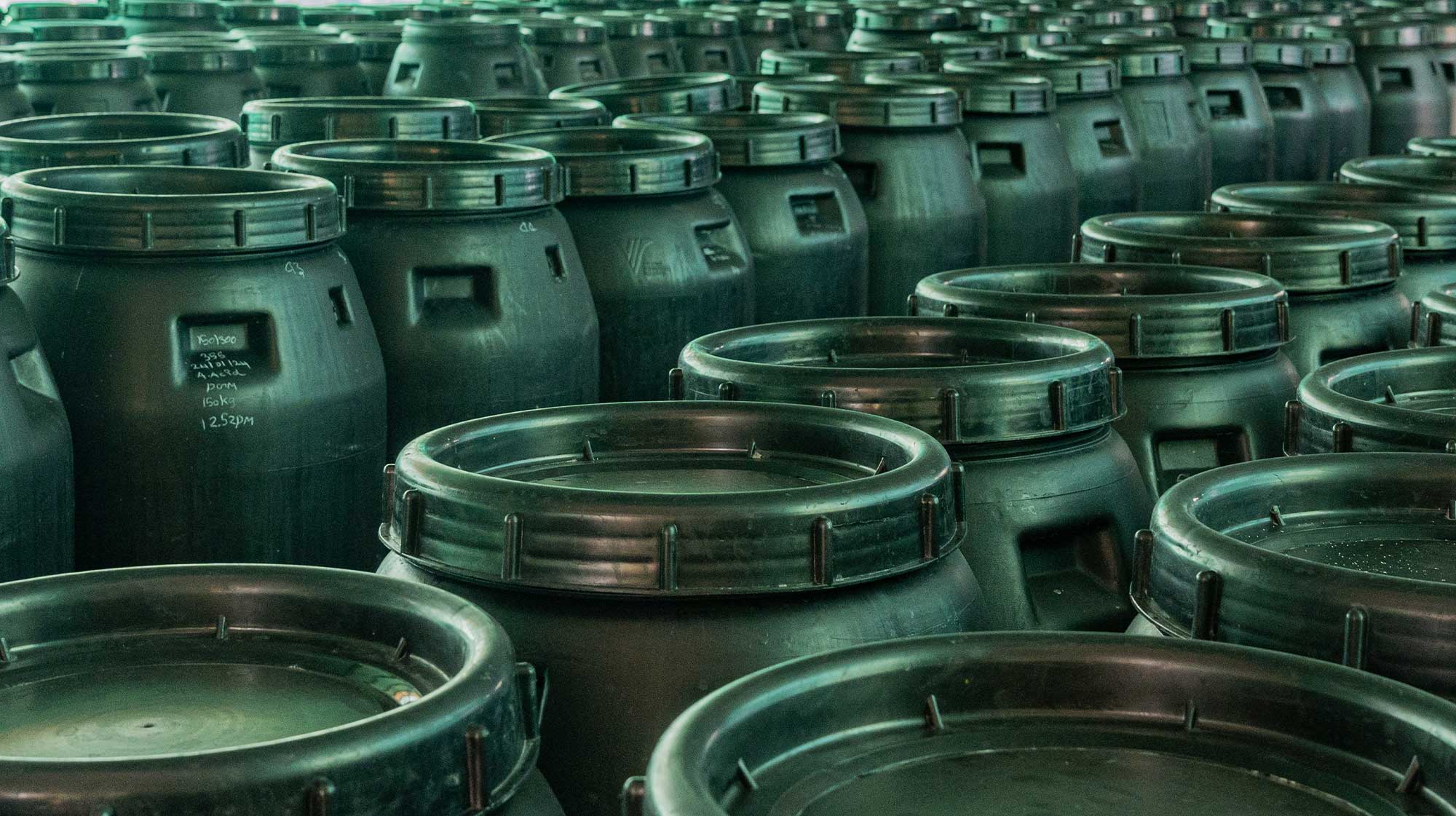 Exports from Fafodil